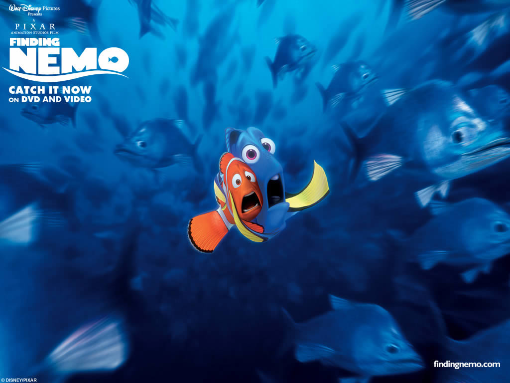 :: Nemo ::